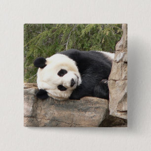 Panda Pin Vierkante Button 5,1 Cm