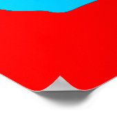 panda plush . poster (Hoek)