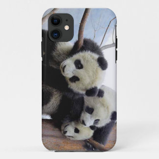 Panda Pod iPhone 11 Hoesje