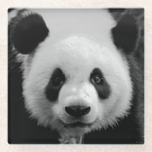 Panda Pop Art Glazen Onderzetter