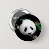 Panda Pop Art Ronde Button 5,7 Cm (Voorkant /achterkant)