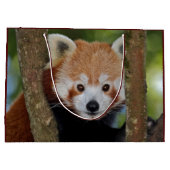 Panda Portret Gift Bag Groot Cadeauzakje (Achterkant)