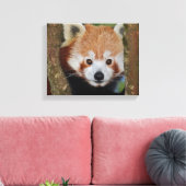 Panda Portret Ingepakt Canvas Afdruk (Insitu (Woonkamer))