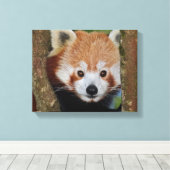 Panda Portret Ingepakt Canvas Afdruk (Insitu (Houten vloer))