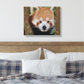 Panda Portret Ingepakt Canvas Afdruk (Insitu (Slaapkamer))