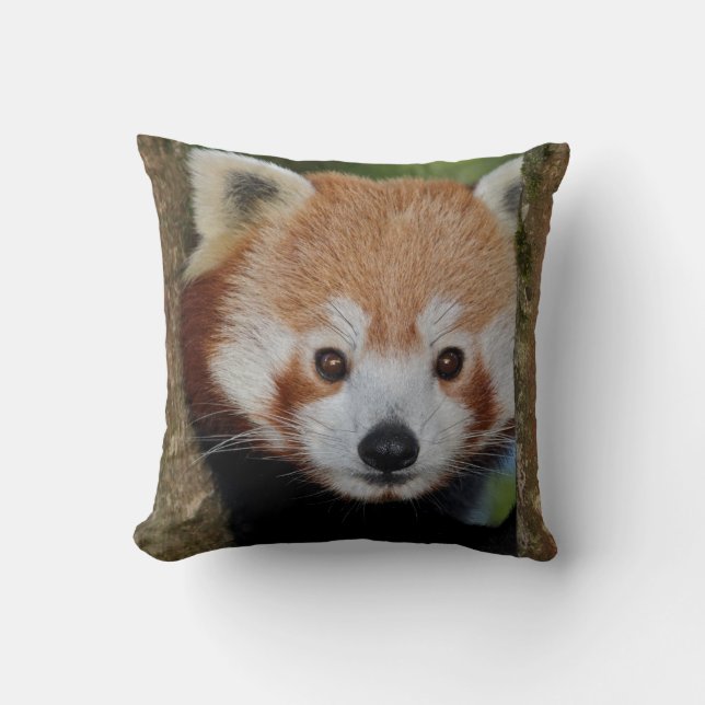 Panda Portret Kussen (Voorkant)