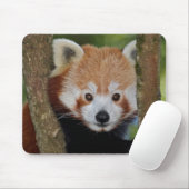 Panda Portret Muismat (Met muis)