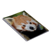 Panda Portret Notitieboek (Rechterzijde)