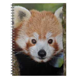 Panda Portret Notitieboek
