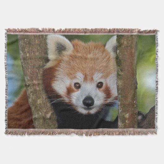 Panda Portret Worpdeken Deken (Voorkant)