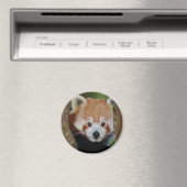 Panda Portretmagneet Magneet (Insitu (Vaatwasser))
