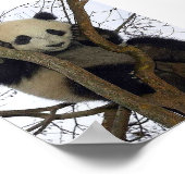 Panda Poster (Hoek)