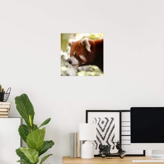 Panda Poster (Thuiskantoor)