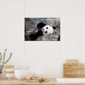 Panda Poster (Keuken)