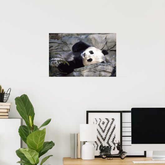 Panda Poster (Thuiskantoor)