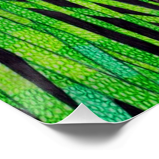 Panda - Poster afdrukken (Hoek)