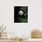 Panda-Poster / afdrukken Poster (Keuken)