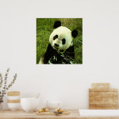 Panda-Poster - Panda-Posters Prints (Keuken)