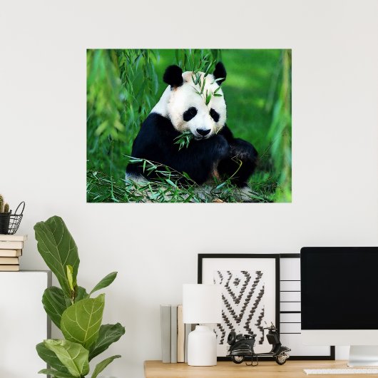 Panda Posters Prints - Panda Eating Leaves Poster (Thuiskantoor)