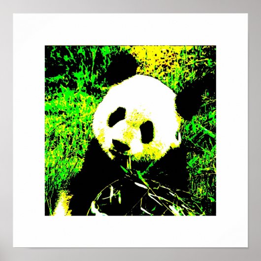 Panda Posters Prints - Panda Eating Poster (Voorkant)