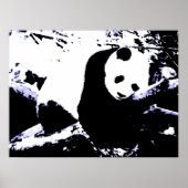 Panda Posters Prints - Panda Slaapend Poster (Voorkant)
