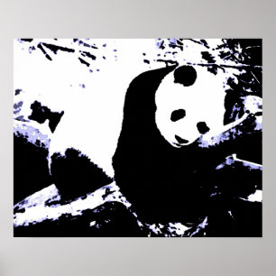 Panda Posters Prints - Panda Slaapend Poster