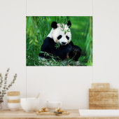 Panda Posters Prints - Poster van Panda die Blader (Keuken)