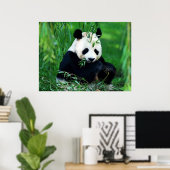 Panda Posters Prints - Poster van Panda die Blader (Thuiskantoor)