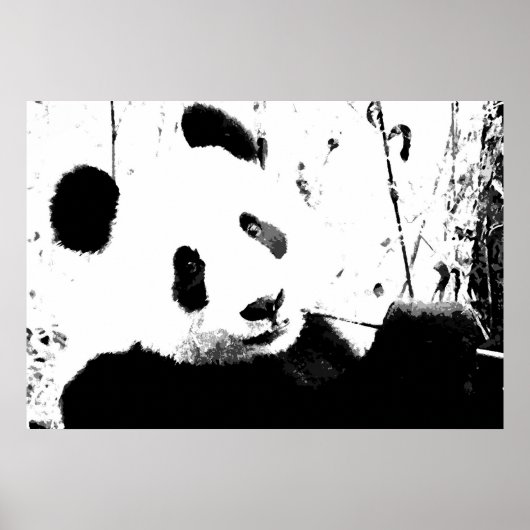 Panda-Posters - Zwart-wit Panda-gezicht Poster (Voorkant)