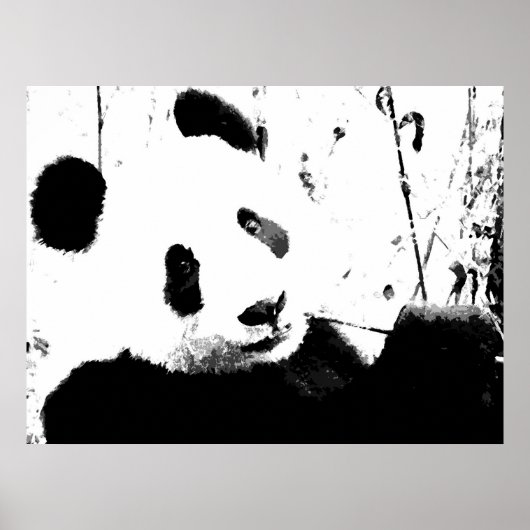 Panda-Posters - Zwart-wit Panda-gezicht Poster (Voorkant)