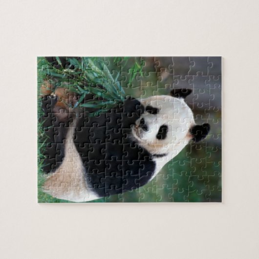 Panda Puzzle Legpuzzel (Horizontaal)