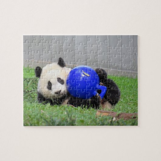 Panda puzzle - Xiao Qi ji, de mirakelkub Legpuzzel (Horizontaal)