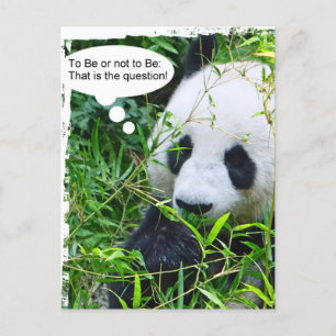 Panda Quote Animal Sjabloon Trendy Modern Briefkaart