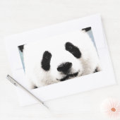 Panda Rechthoekige Sticker (Envelop)