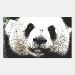 Panda Rechthoekige Sticker