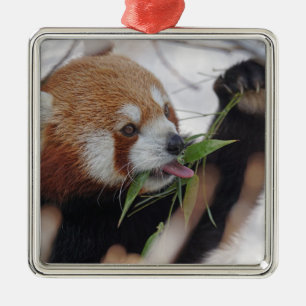 Panda Red Animal Print Schattig Metalen Ornament