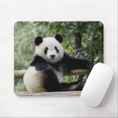 Panda Relax Time Muismat (Met muis)