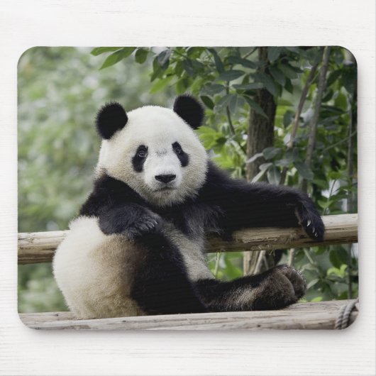 Panda Relax Time Muismat (Voorkant)