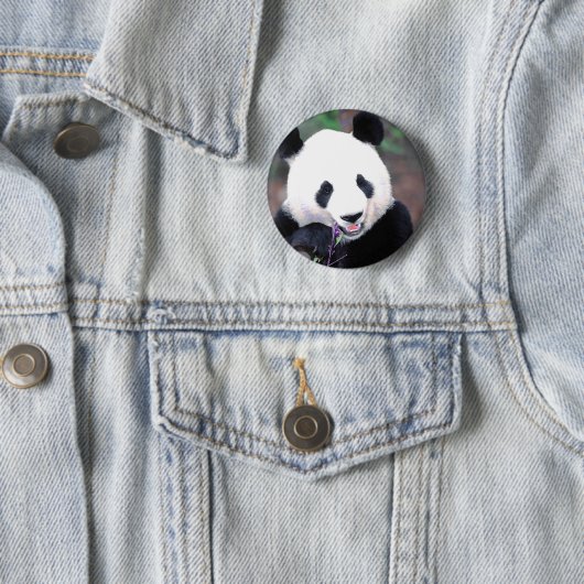 Panda Ronde Button 5,7 Cm (In situ)