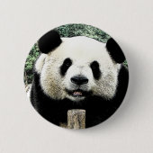 Panda Ronde Button 5,7 Cm (Voorkant)