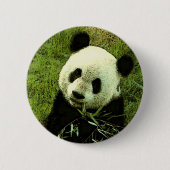 Panda Ronde Button 5,7 Cm (Voorkant)