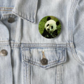 Panda Ronde Button 5,7 Cm (In situ)