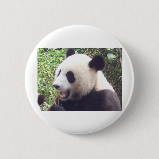 Panda Ronde Button 5,7 Cm (Voorkant)
