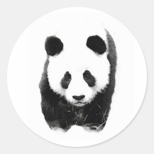 Panda Ronde Sticker