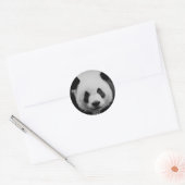 Panda Ronde Sticker (Envelop)
