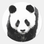 Panda Ronde Sticker (Voorkant)