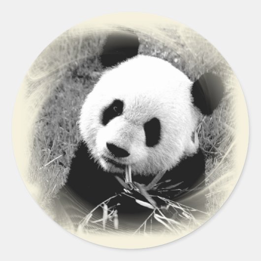 Panda Ronde Sticker (Voorkant)