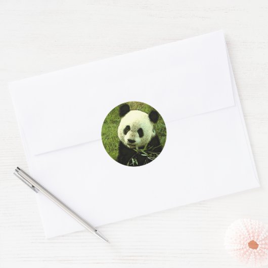 Panda Ronde Sticker (Envelop)