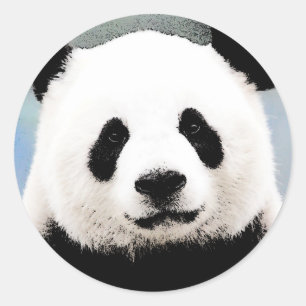 Panda Ronde Sticker