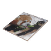 panda rood dier print cute tegeltje (Zijkant)